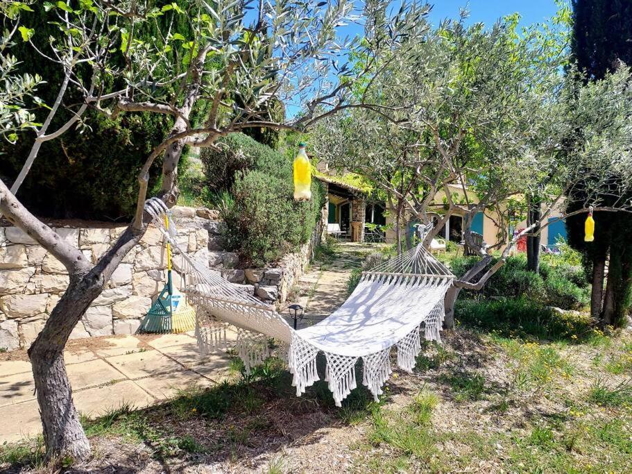 La Maison De Ninia Digne-les-Bains Kültér fotó